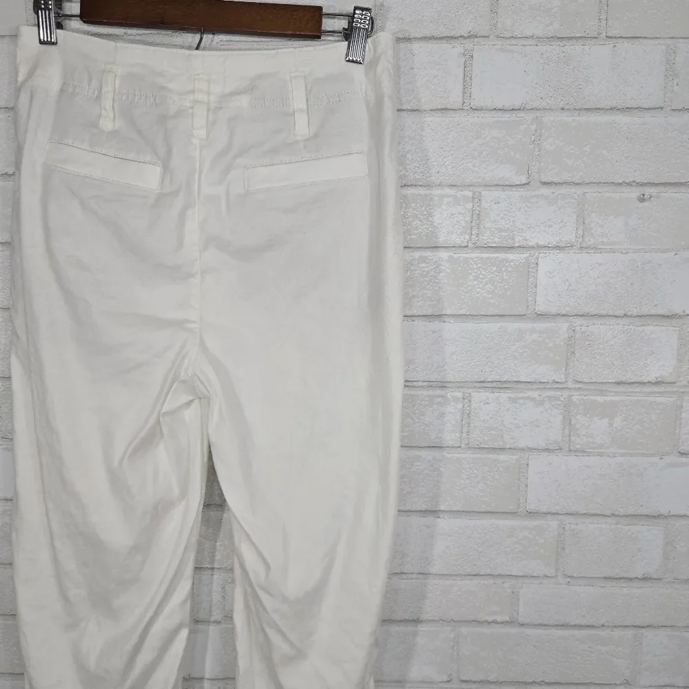 Level 99 linen blend pants